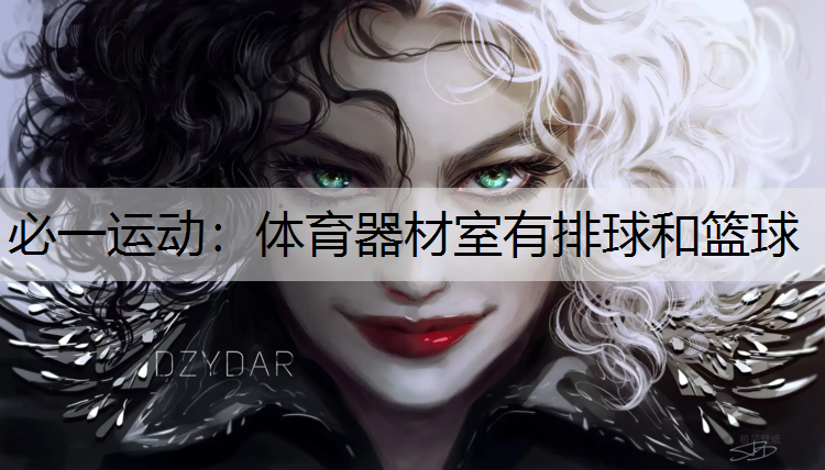 体育器材室有排球和篮球
