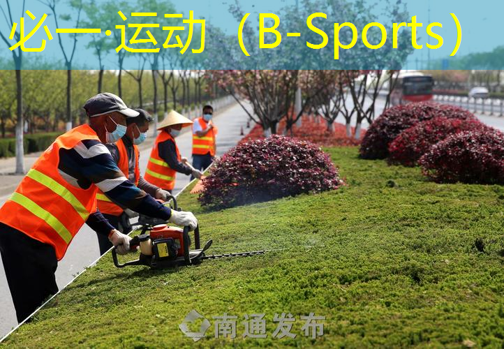 网球拍避震结系法规则