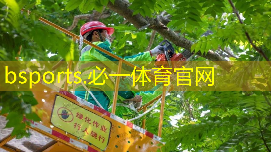 川崎网球拍460和480