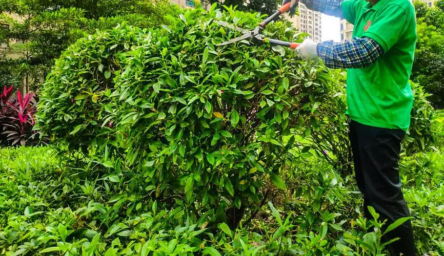 网球拍吸汗带怎么绕