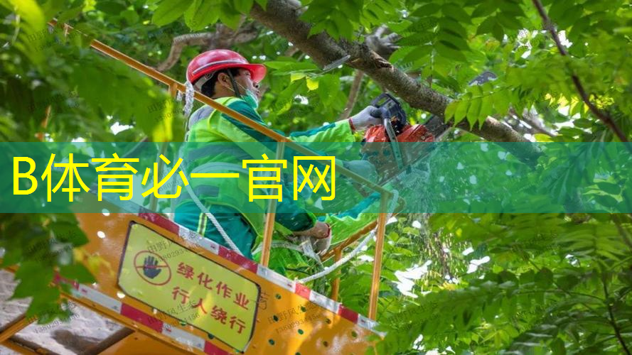 网球拍子母线拉几磅