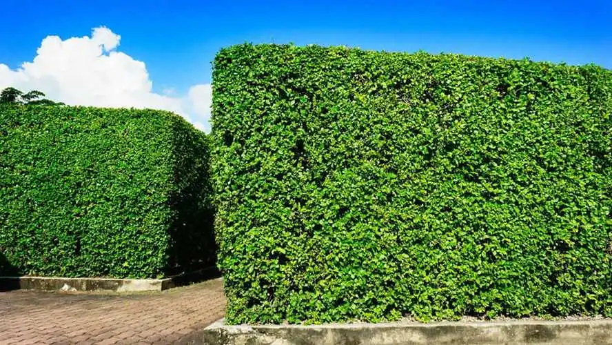 初学配多少个网球拍