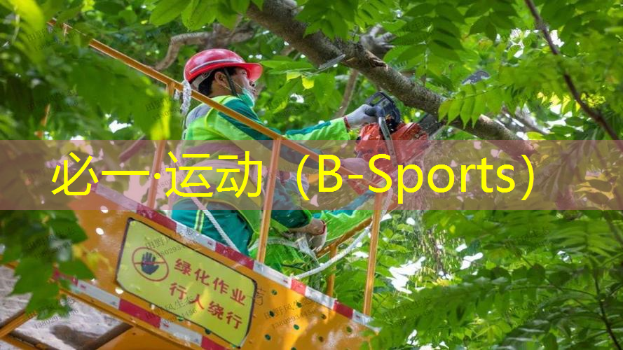 杭埠乒乓球台在哪里