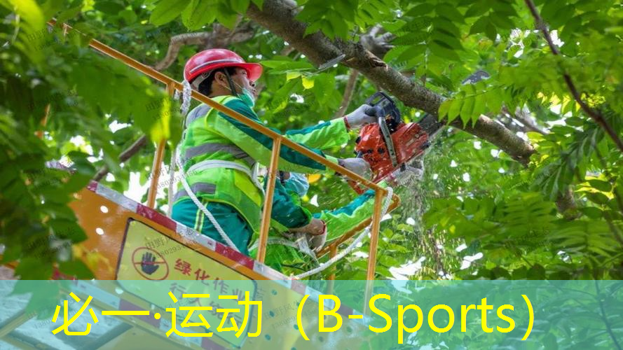 室内健身女器械
