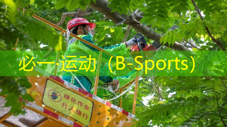 实心球 学龄前教育